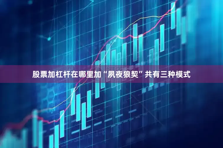 股票加杠杆在哪里加“夙夜狼契”共有三种模式