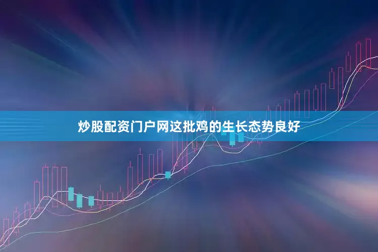 炒股配资门户网这批鸡的生长态势良好
