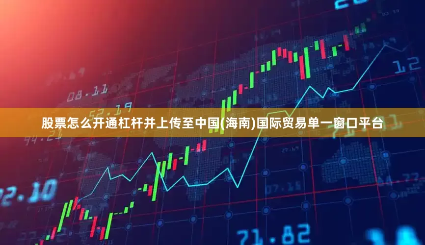 股票怎么开通杠杆并上传至中国(海南)国际贸易单一窗口平台